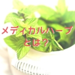 メディカルハーブ検定対策 メディカルハーブって何?
