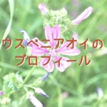 ウスベニアオイ(アオイ科)のプロフィール