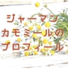ジャーマンカモミール（キク科）のプロフィール