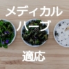 メディカルハーブの適応について