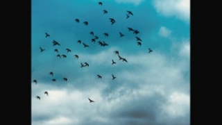 STONE FOUNDATION Is Love Enough?